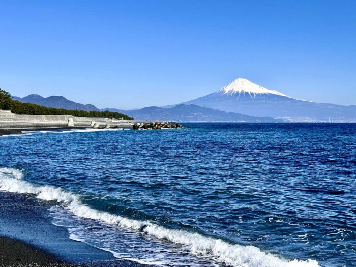 View of Shimizu Port with Mt. Fuji